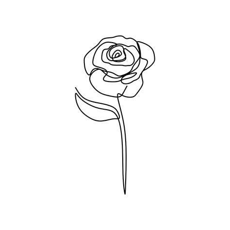 Rose Flower Continuous Line Art Drawing Vector Illustration, Flower ...