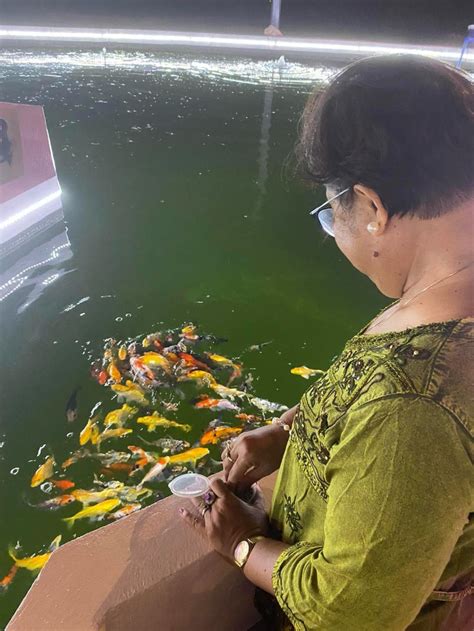 Dine by the Pond in Sungka Native Restaurant in Cordova, Cebu