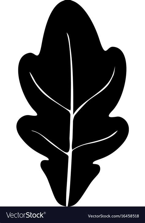 Oak leaf Royalty Free Vector Image - VectorStock