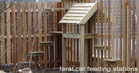 feral cat feeding stations and steps so they can get in and out of the ...