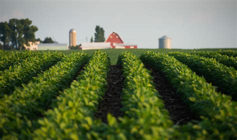 New generation GMO soybeans: How genetic tweaking might offset detrimental impact of rising ...