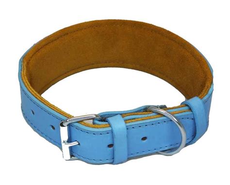 Staffordshire Bull Terrier Collar Padded Dog Collars Staffy