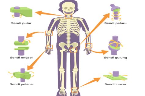 Berita Jenis-jenis Sendi Gerak Terbaru dan Terkini Hari Ini - Katadata.co.id