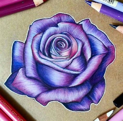 Pin by Sheri Powell on Flowers | Roses drawing, Art drawings sketches pencil, Color pencil drawing