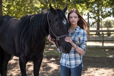 ‘Black Beauty’ Review: Kate Winslet Voices Horse in Disney+ Adaptation – IndieWire