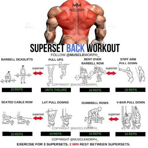 Superset Back Workout #BackExercise | Bodybuilding workouts, Fun workouts, Back workout