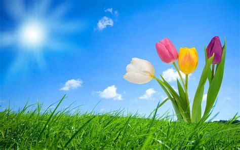 🔥 [90+] Spring Scenery Wallpapers for Desktop | WallpaperSafari