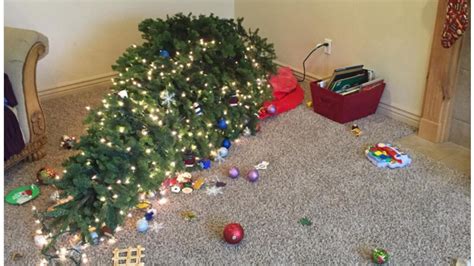 25 hilarious Christmas tree FAILS that make Charlie Brown look like a pro – SheKnows