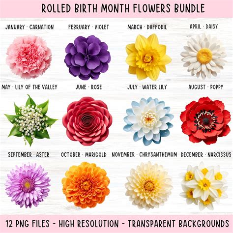 Birth Month Flower Bouquet PNG Bundle, DIY Birth Flower Png, Birth ...