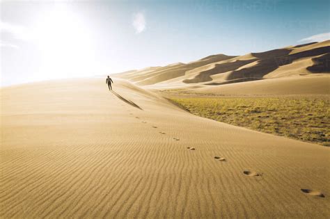 Rear view of carefree man walking on sand at Great Sand Dunes National Park during sunny day ...