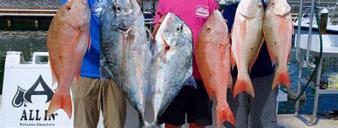 African Pompano season in Key West - ALL IN Key West Fishing Charters