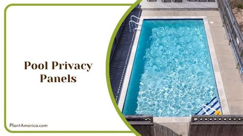 17 Pool Privacy Ideas: From Creative Fences to Unique Plants - Plant ...