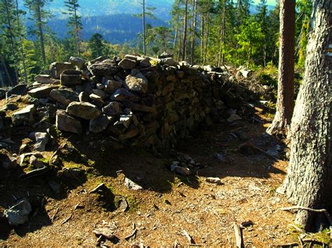 Ancient Bohemian Forest Known as Šumava Where Celts Once Roamed