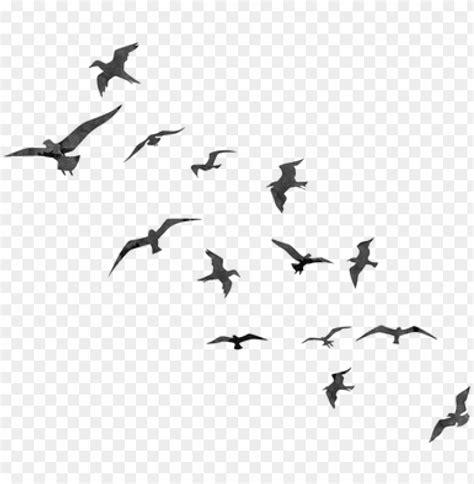 Free Cute Bird Photoshop Brushes - Bird Flying Silhouette PNG Transparent With Clear Background ...