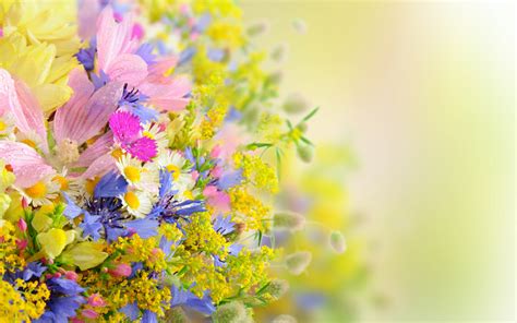 Pastel Flower Bliss - HD Wallpaper