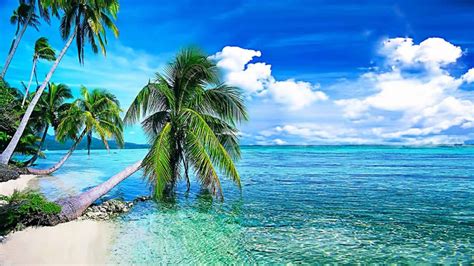 Summer Tropical Beach With Palmi Backgrounds for Powerpoint Templates - PPT Backgrounds