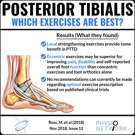 Infographics - Physio Network