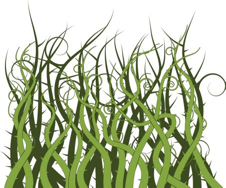 Thorny clipart - Clipground