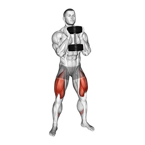 Dumbbell Squat Form