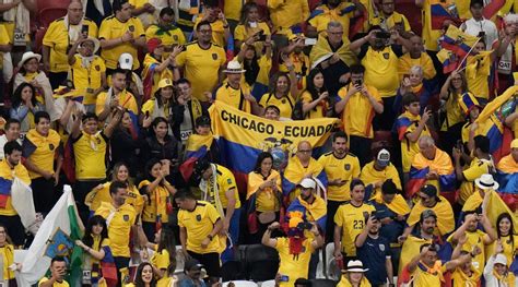 Watch: Ecuador fans chanting ‘we want beer, we want beer’ during match ...