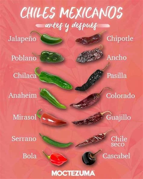 Chiles Mexicanos | Chile mexicano, Tipos de chiles, Chiles secos