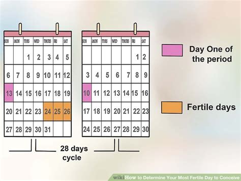 Fertile Days Calendar - Jessi Lucille