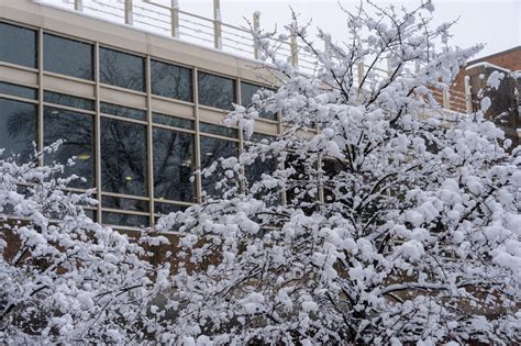 Reminder on winter weather disruptions, guidance for campus events | Marquette Today