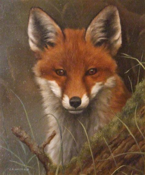 E. Stacy Marks - Exhibitions | Fox painting, Wildlife artists, Fox