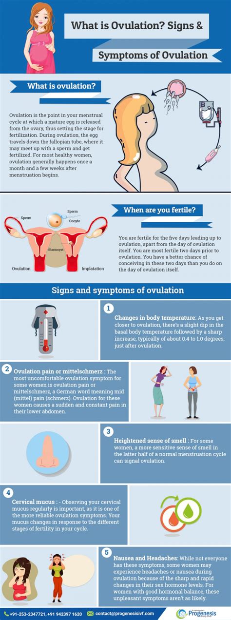 What Is Ovulation? Signs And Symptoms Of Ovulation - Infertility Clinic in India | Test Tube ...