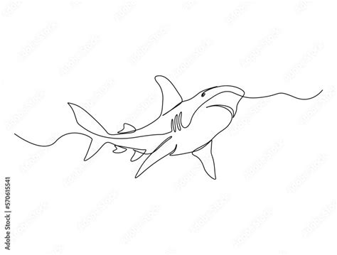 Continuous one line drawing of shark fish. Simple illustration of ...