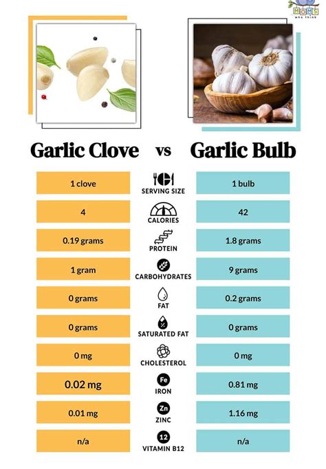 Garlic Clove vs. Garlic Bulb: Are They The Same?