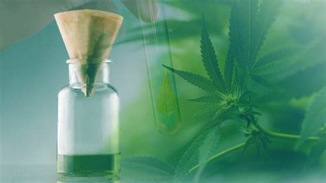 5 Cannabis Tincture Recipes Anyone Can Make