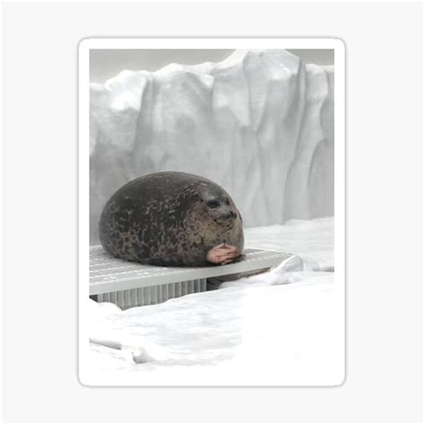 "Seal With Hands Meme" Sticker for Sale by digitul | Redbubble