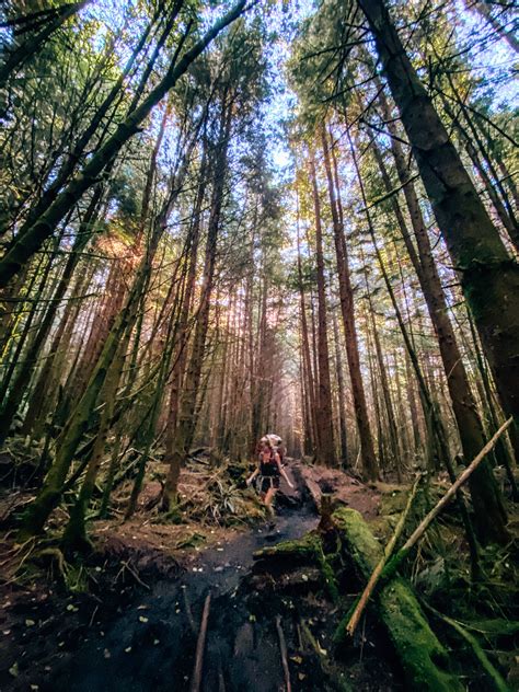 Backcountry bound: Hiking the Juan de Fuca Trail — Kellie Paxian