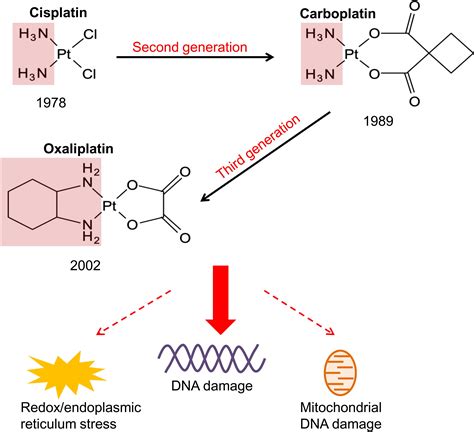 Novel aspects of the preclinical pharmacology of platinum compounds