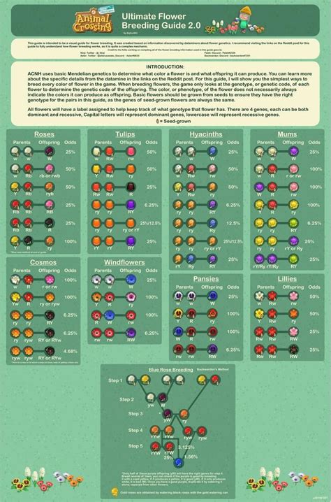 Acnh Flower Breeding Layout Chart – Idalias Salon