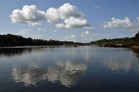 Essequibo River | Horst Vogel | Flickr