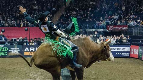 Calgary Stampede Rodeo Schedule & Tickets for 2024 Dates | Buy Calgary ...