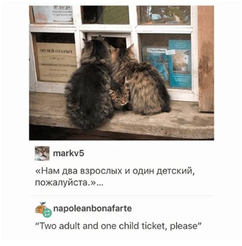 Purrrely Funny Russian Cat Memes Translated To English in 2021 | Cat ...