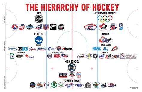 The Hierarchy of Hockey : r/hockey