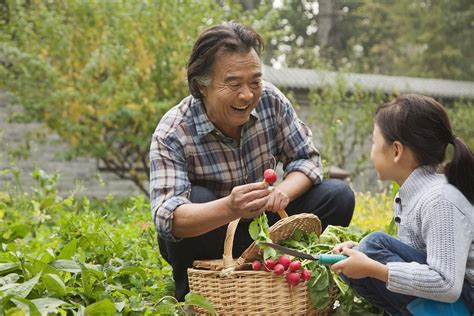 Get Outside! Gardening for Seniors | ASC Blog