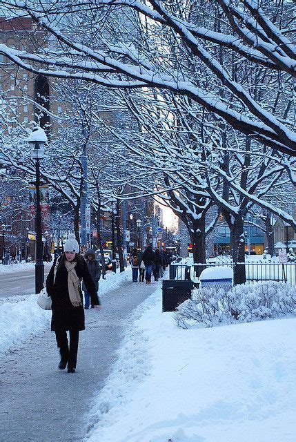 Toronto Winter Street Scene | Toronto winter, Canada snow, Canada travel