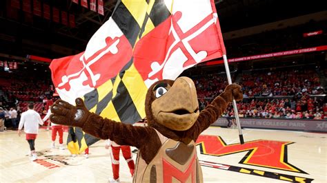 Maryland Sports Betting Approved By Voters