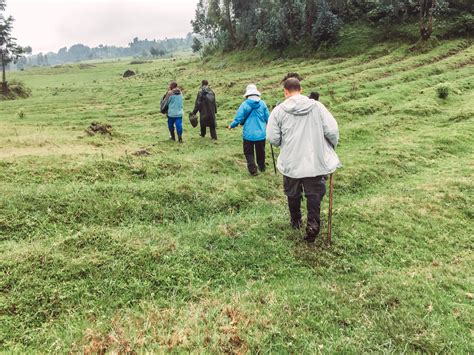 Rwanda Mountain Gorilla Trekking — life by Melissa & Andrew