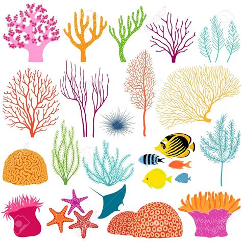 Free Sea Coral Cliparts, Download Free Sea Coral Cliparts png images ...