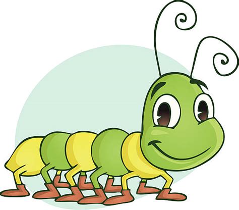 Cartoon Of Cute Centipede Stock Photos, Pictures & Royalty-Free Images - iStock