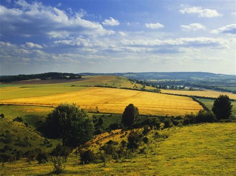 Visiting The Extraordinary Chiltern Hills Of England