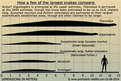 Titanoboa Vs Anaconda Size