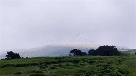 Kas Pathar, Satara, Maharashtra, India. Stock Footage - Video of ...