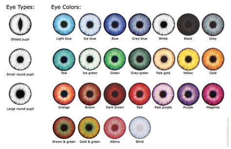 eye color chart eye color chart eye color writing tips - human eye ...